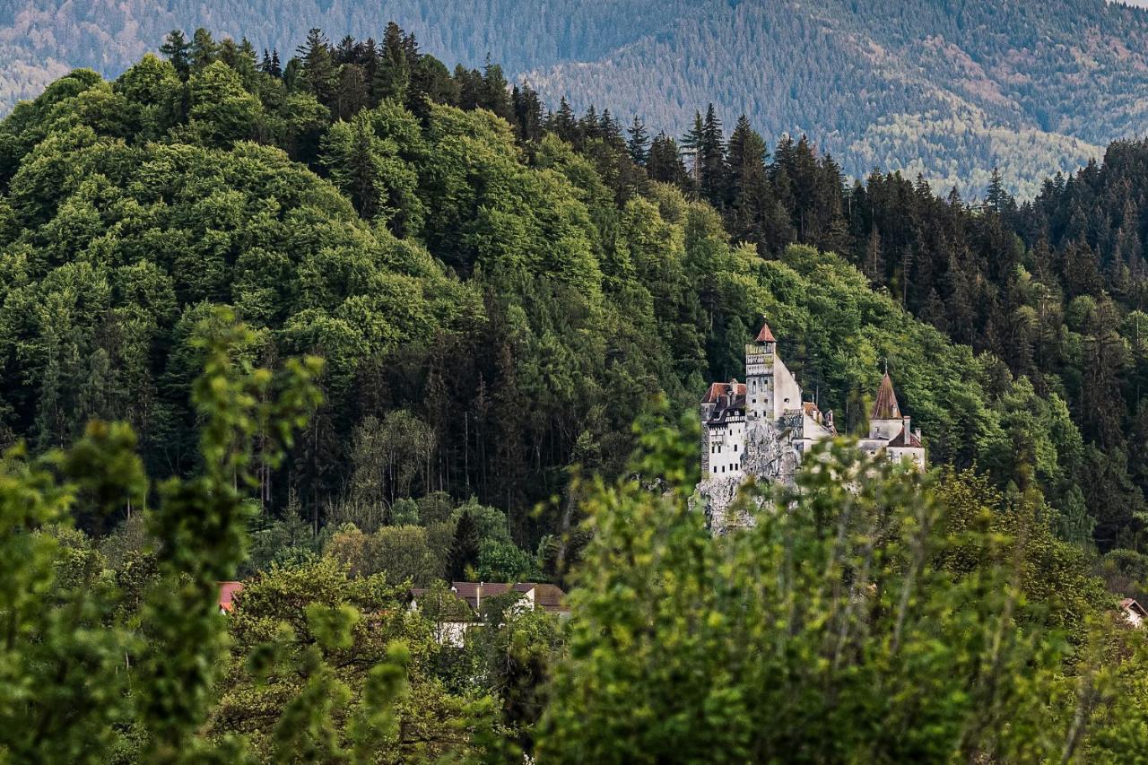 Pensiunea Muntele Rece Бран Экстерьер фото